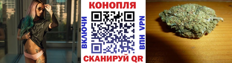 Где продают наркотики Мурино Вейп ТГК  Меф  Псилоцибиновые грибы  Амфетамин  Канабис  ГАШИШ  мега маркетплейс  КОКАИН 