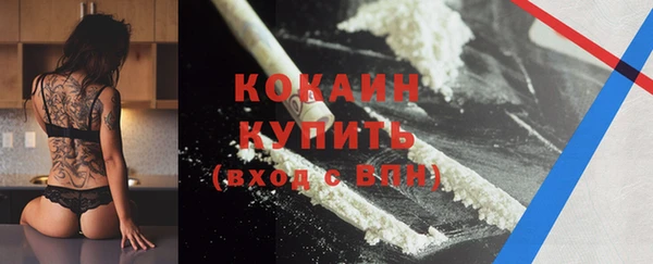 дживик Козельск