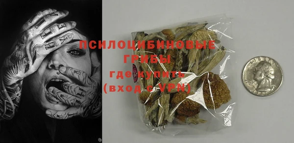 дживик Козельск