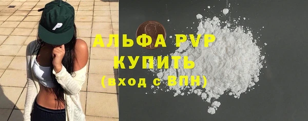 дживик Козельск