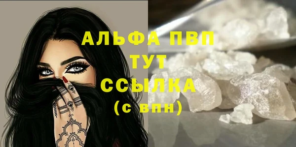 дживик Козельск