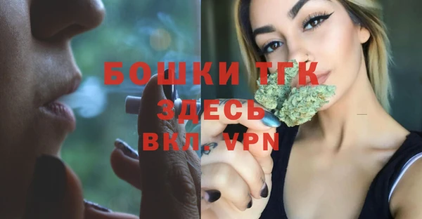 дживик Козельск