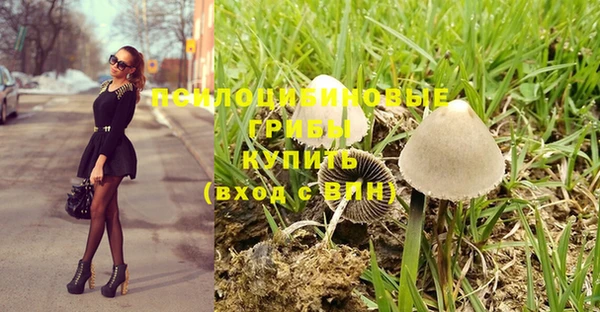 стафф Козловка