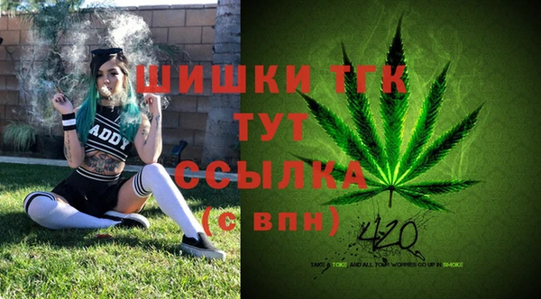 стафф Козловка