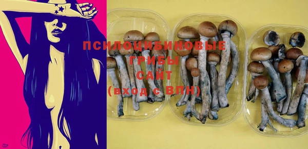 стафф Козловка