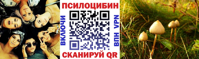 Псилоцибиновые грибы Magic Shrooms  продажа наркотиков  Мурино 
